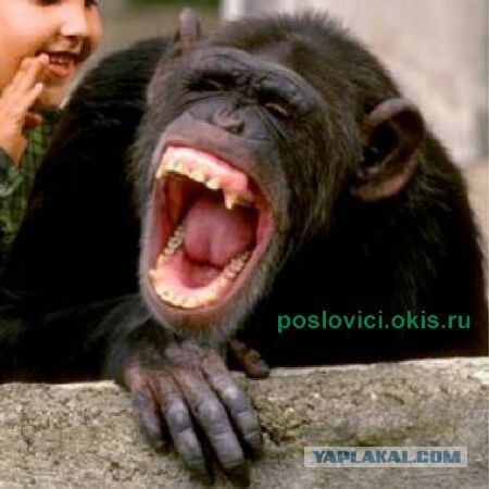 "Русский" трейлер к фильму Хоббит
