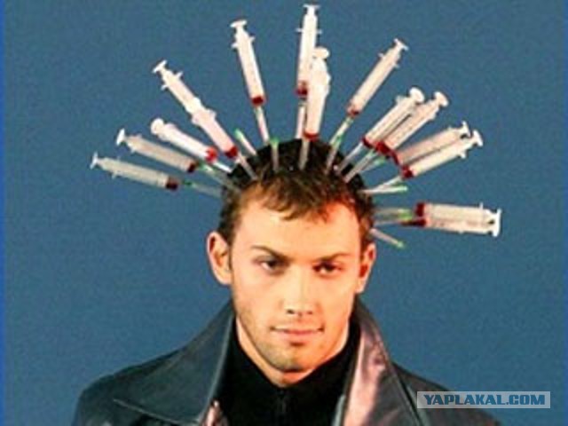 Почему президентом России должна быть ШИНШИЛЛА?