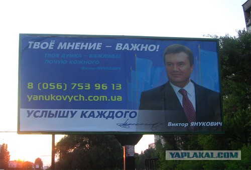 Беркут растрощил водителю автомобиль.