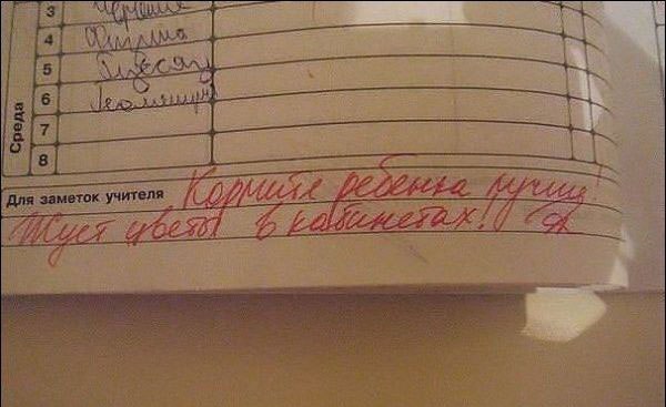 Записи в Дневниках