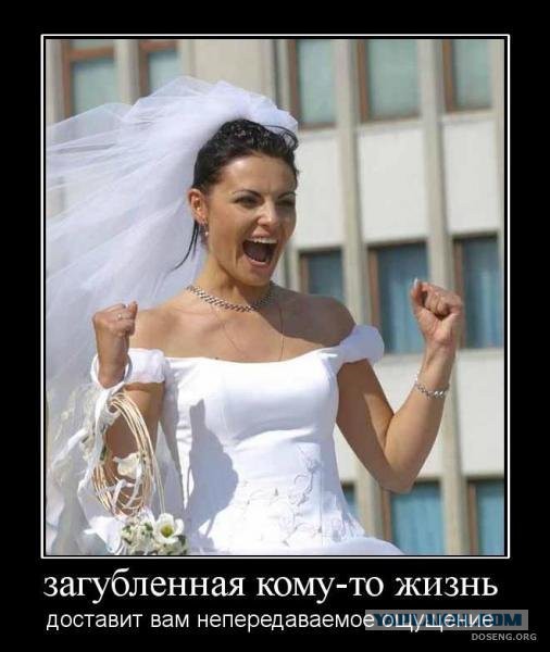 Демотиваторы.