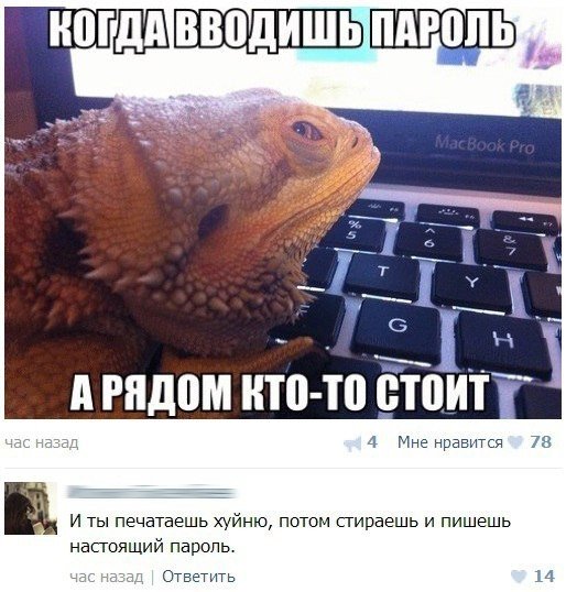 Комментарии из социальных сетей