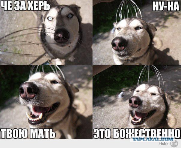 Комменты из соцсетей
