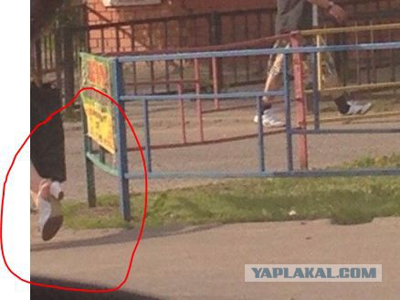В Щелково можно встретить вот такое