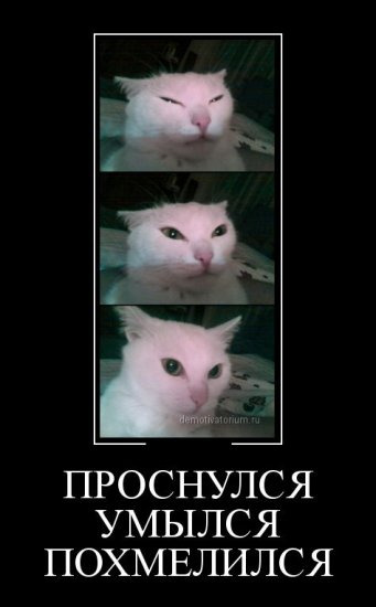 Подборка демотиваторов