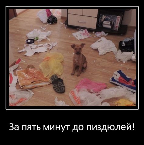 Разбойное нападение на холодильник