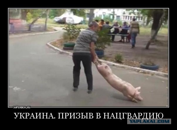 Перемирие кончилось, едва начавшись. часть 6