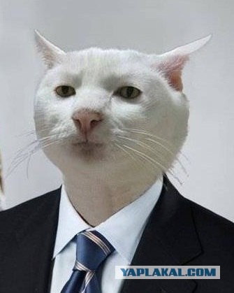 "Герои" ЯПа