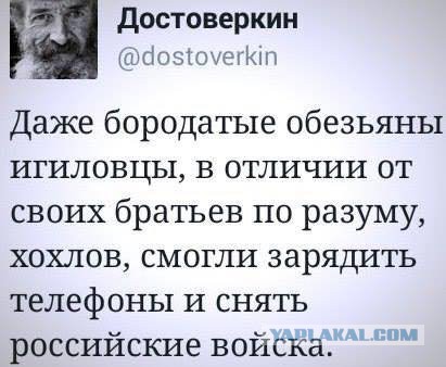 10 политических картинок