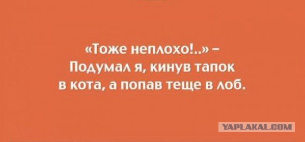 Смешные комментарии 20.12.2015