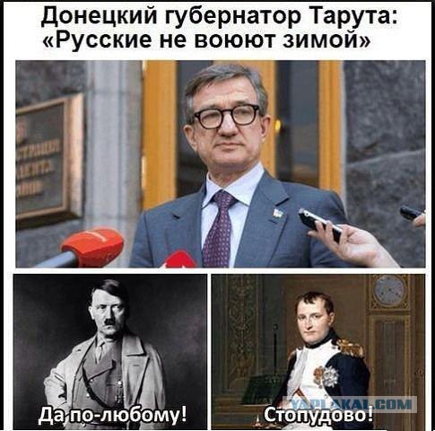 Хотели перегрызть кабель - не донырнули