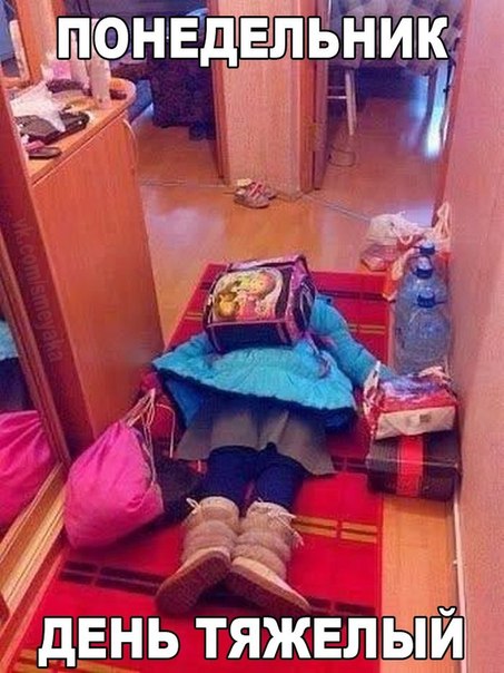 Немного картинок