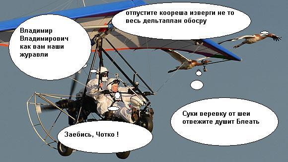 Путин с клювом в халате возглавил журавлиный клин