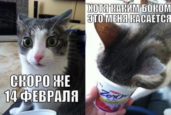 Подборка картинок из сети