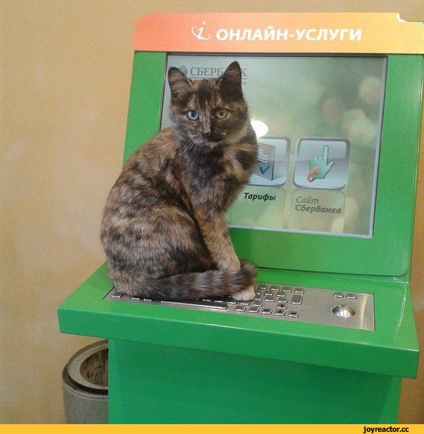 Однажды у банкомата...
