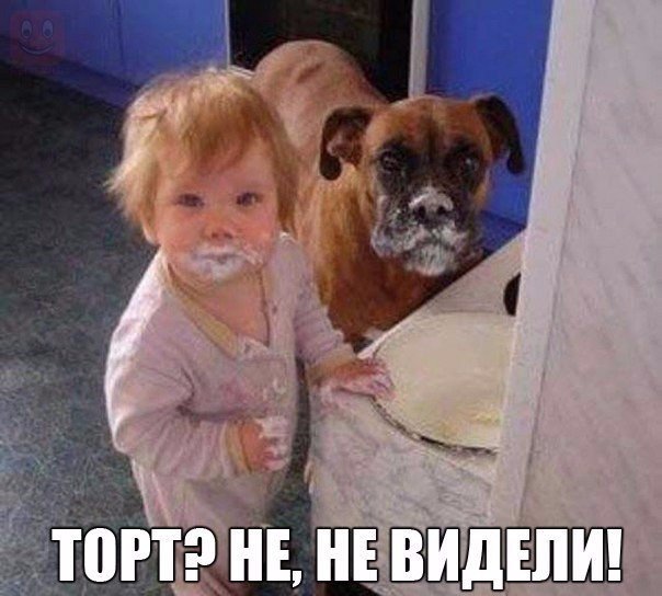 Мохнатые беспредельщики