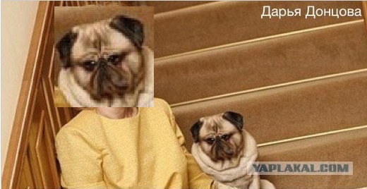 Тоже есть, что сказать