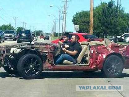 Олень за рулем