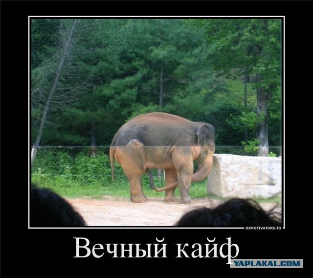 Почему колбасу режут под углом?