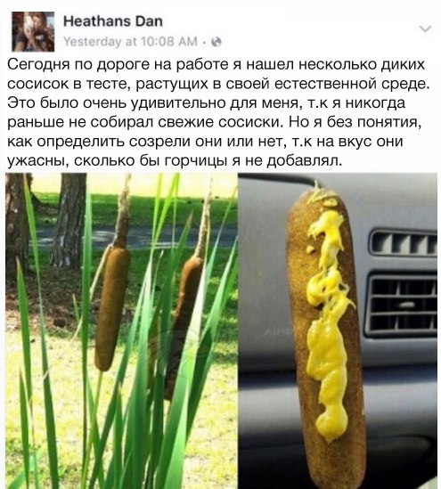 Ужасы и приколы из соцсетей 18+