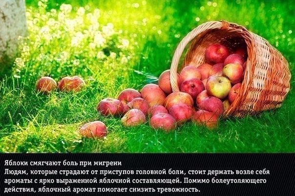 Подборка "тёплых уютных домашних" фотографий, часть 6
