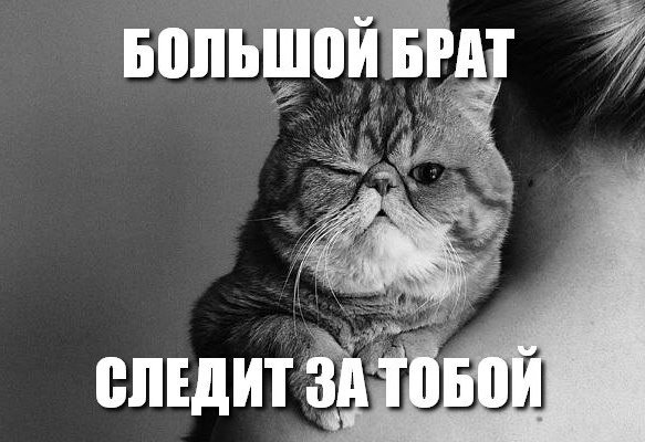 В Омске оштрафовали мать, наказавшую семилетнего сына за просмотр порно.