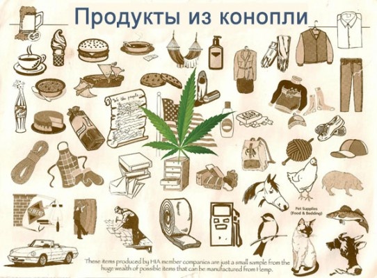 Калифорния легализовала марихуану