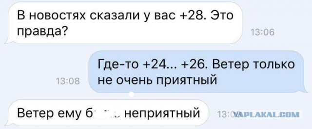 Смешные комментарии из социальных сетей 18.11.2016