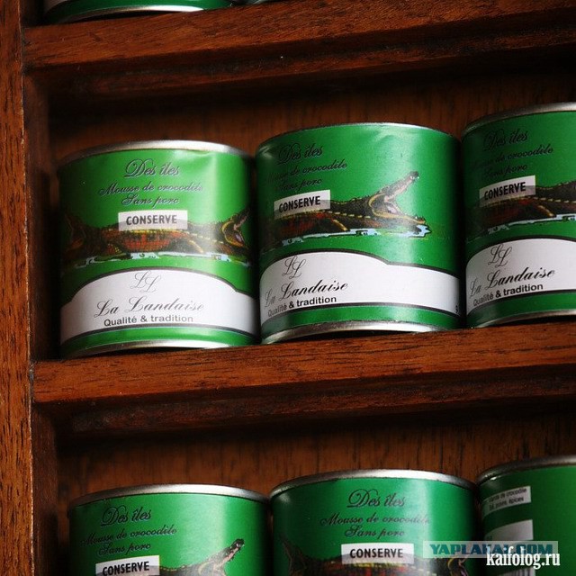 Самые странные консервированные продукты