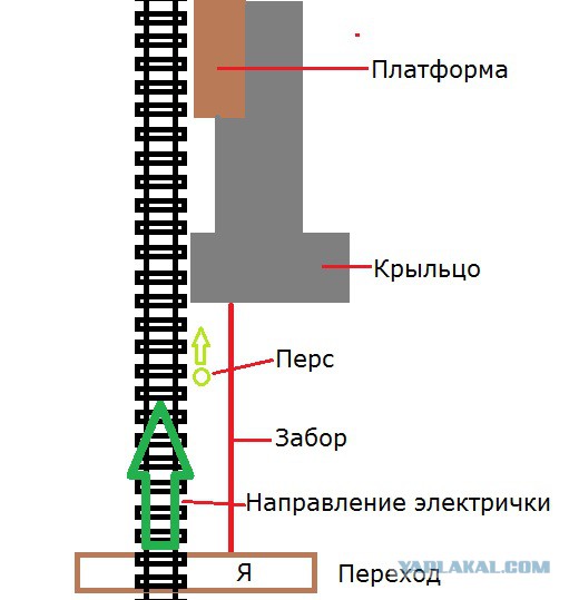 Машина смерти. Врач скорой — о травмах, которых боятся даже медики