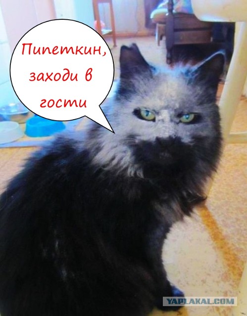 Как делают кокс в России