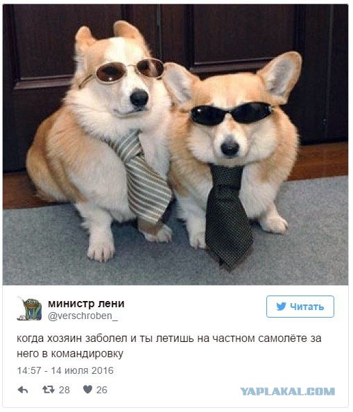 6-ти часовой рабочий день