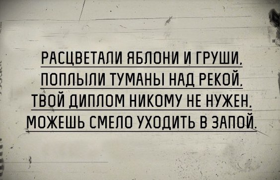 Картинки разнобезобразные, юмор спецефический