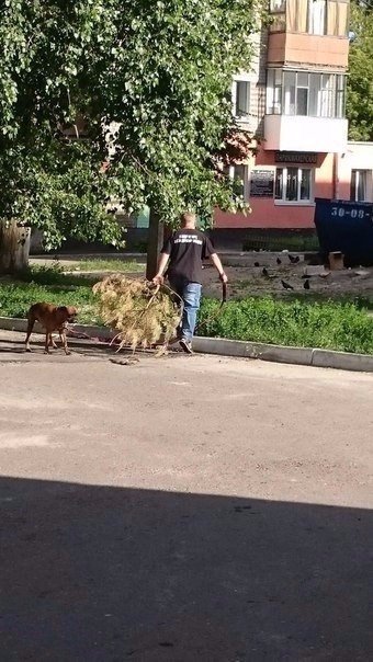 Подборка безудержного веселья