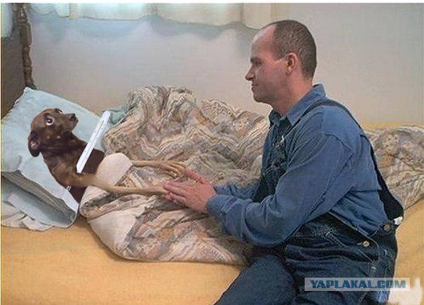 Фотожабы: измеряем собачку