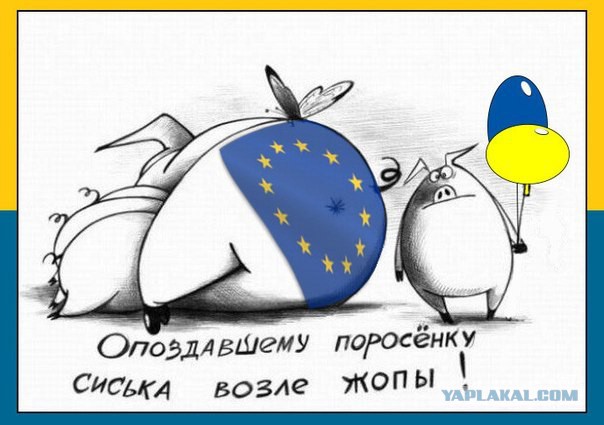 В Украине назвали условия возобновления закупок российского газа