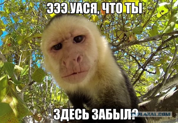 Мнение про русофобию в РФ.