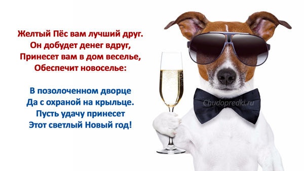 Ну, понеслась! Поздравления с Новым Годом по всей географии ЯПлакалъ!