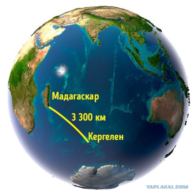 Оплот одиночества