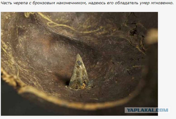 Павшие в бою. Битва при Таутоне. Мумии и скелеты.12