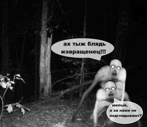 Бросай работать, пошли деградировать!