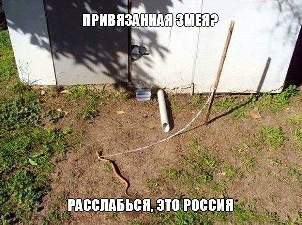 «Мост глупости» в Петербурге «поймал» 149-ю жертву и готовится к юбилею