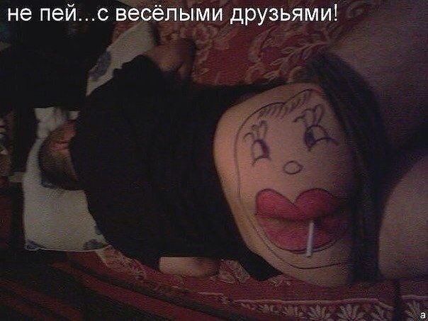 Скотсети и прочие интернеты 27.08.18