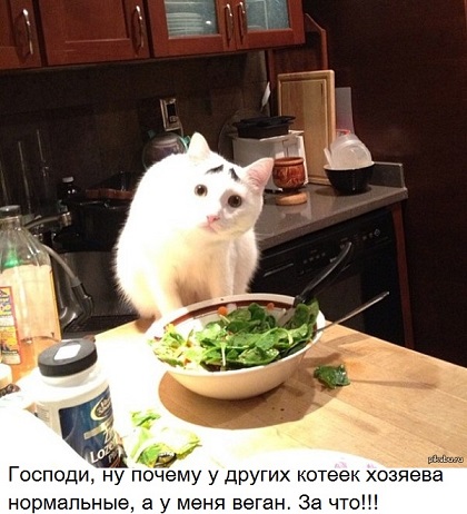 Осторожно. Веганы