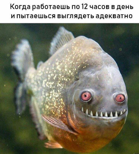 Немного картинок на вечер