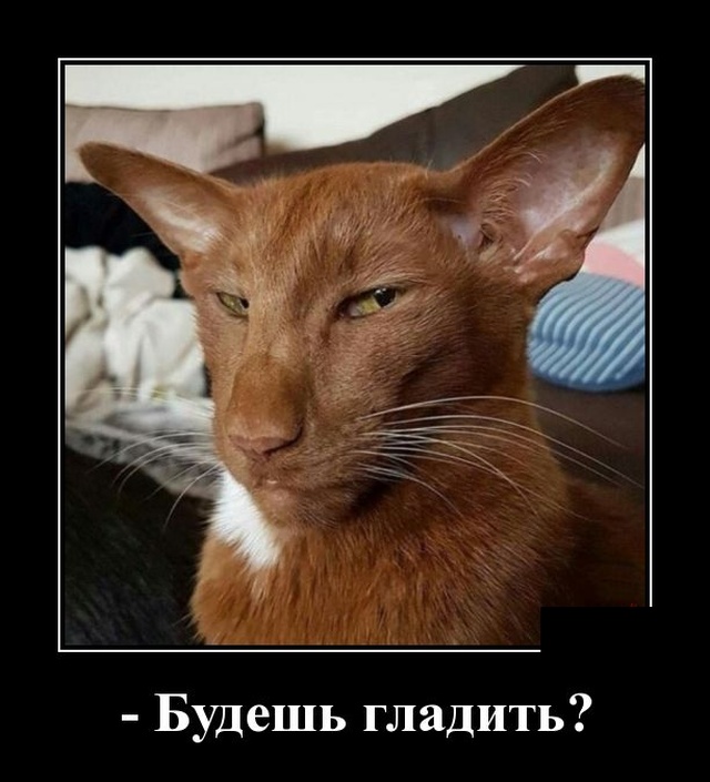Немного картинок для настроения