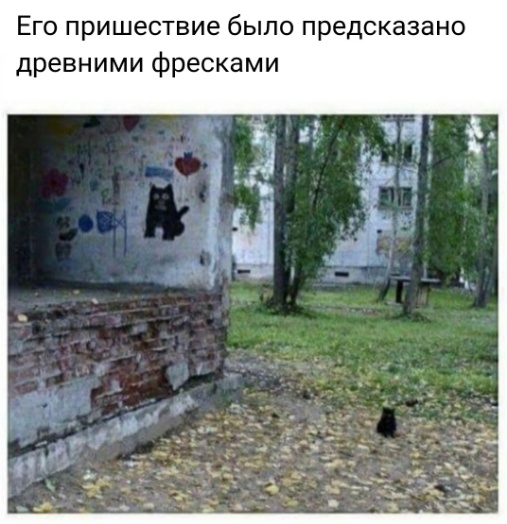 Ушёл за холодцом