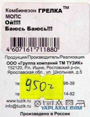 Мопс, сука, теплый!