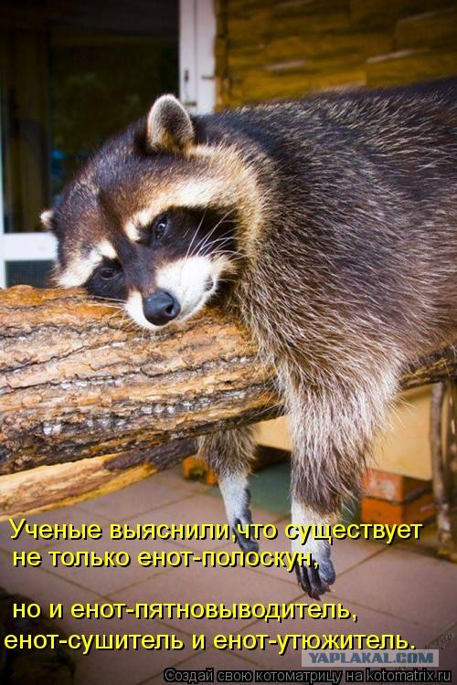 Как я знакомилась на сайте знакомств