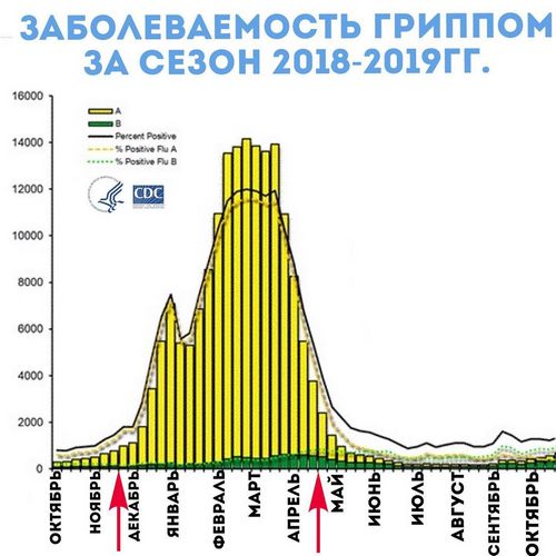 Про Китай и коронавирус